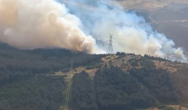 İzmir Aliağa’da orman yangını çıktı