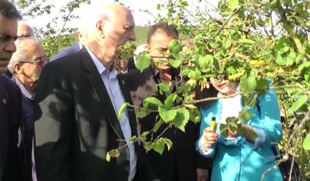 TZOB Genel Başkanı Şemsi Bayraktar: Fındık yoksa sosyal yaşamda yok demektir, fındık yoksa hayat yok demektir