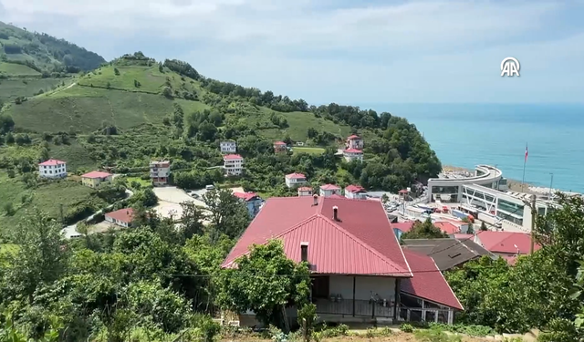 Bir Dere, İki Ülke, Aynı Aile: Sarp ile Sarpi'nin 104 Yıllık Hasreti