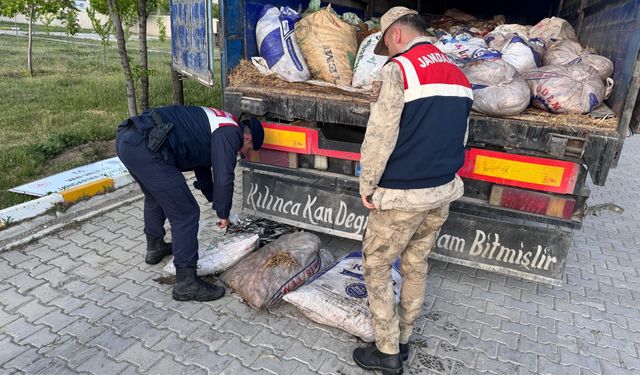 19 ton 200 kilogram inci kefali ele geçirildi