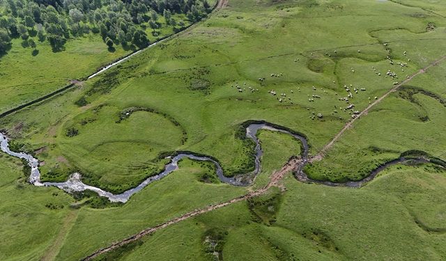 Menderesleriyle ünlü Perşembe Yaylası bayram tatilinde yerli turistlerin akınına uğradı