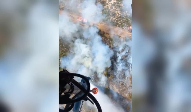 İzmir Foça’daki orman yangının çıkış nedeni belli oldu