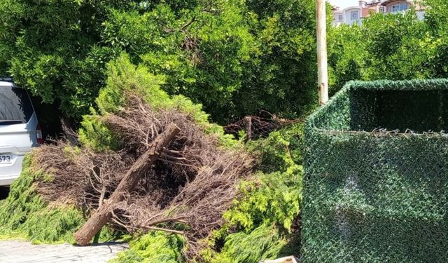 Marmaris Belediyesi’nden ücretsiz çevre hizmeti