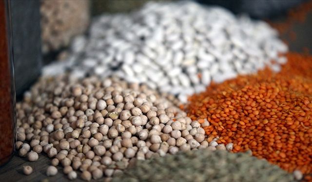 Türkiye'nin hububat ve bakliyat ihracatı yılın ilk yarısında yüzde 4,5 arttı