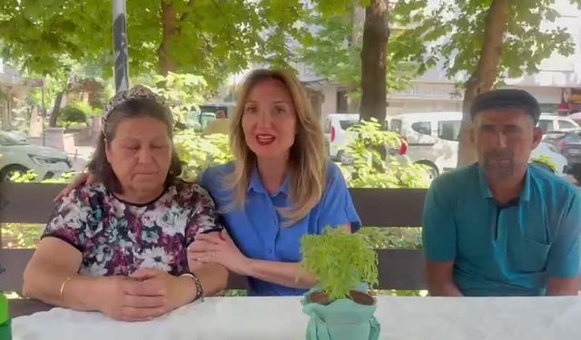 Aylin Nazlıaka'dan, "zeytin nöbeti" tutan köylülere destek ziyareti