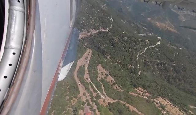 Ödemiş’te orman yangını: 81 yaşındaki bir vatandaş yaşamını yitirdi