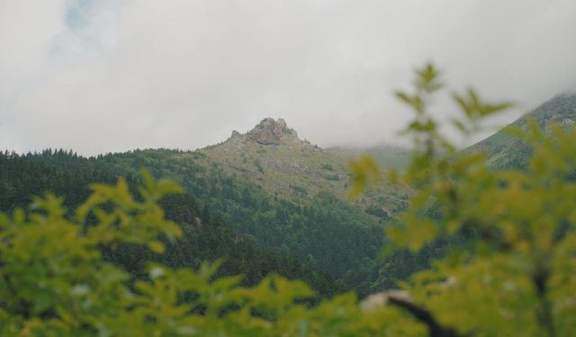 Türkiye'nin bu yılki su ürünleri ihracatı 974 milyon dolara ulaştı