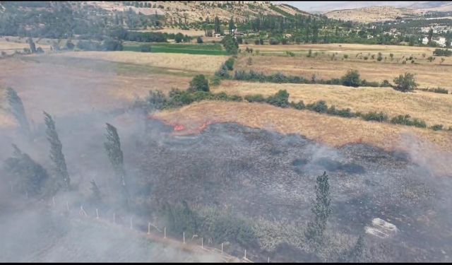 Doğanşehir'de çıkan arazi yangını söndürüldü