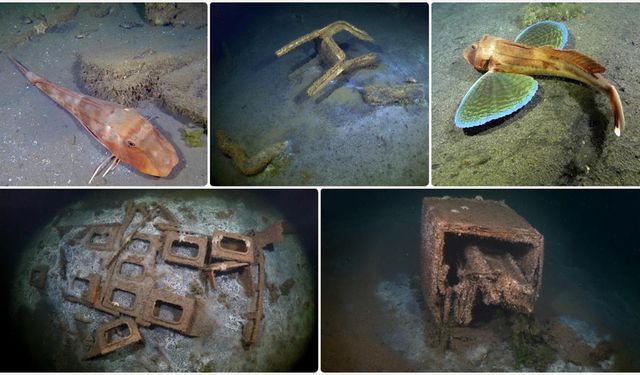 Marmara Depremi'nin merkez üssü Gölcük'te deniz dibindeki afet izleri görüntülendi