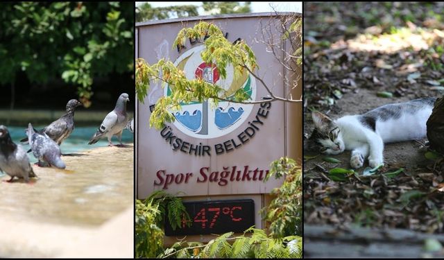 Öğlene kadar 16 kentte sıcaklık 40 dereceyi gördü