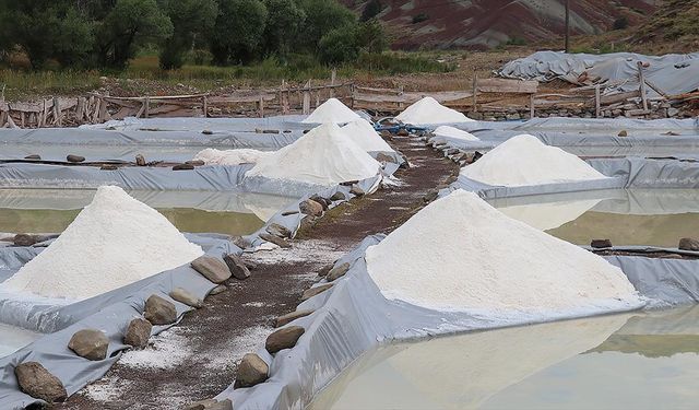 Sivas'ın "esmer tuzu" Japonya'da