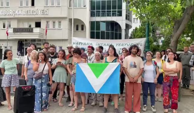 Artvin Borçka’da vegan aktivistlerden "Katliam Yasası" protestosu: "Yaşam hakkı pazarlık konusu olamaz"