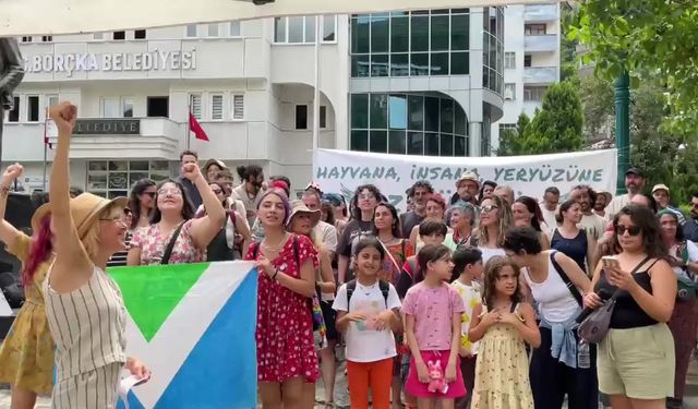 Borçka’da Kolektif Vegan Festivali başladı