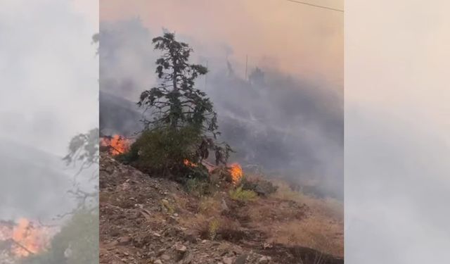 Malatya Doğanyol’da ikinci yangın: Akkent Mahallesi’nde bir ev zarar gördü