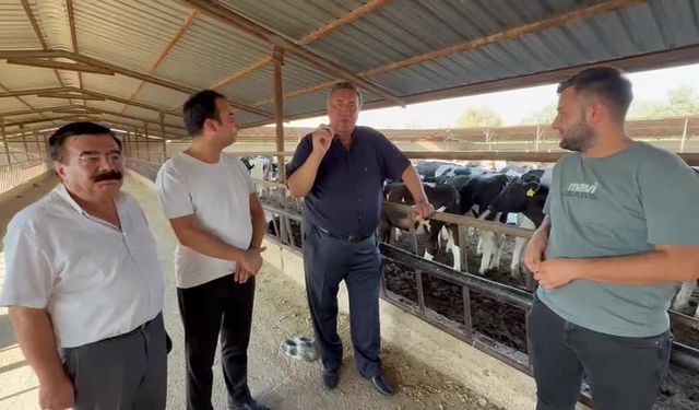 Ömer Fethi Gürer: "Hayvancılık ciddi bir krizle karşı karşıya"