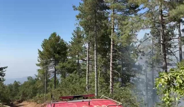 Osmaniye’nin Zorkun yaylasında orman yangını 