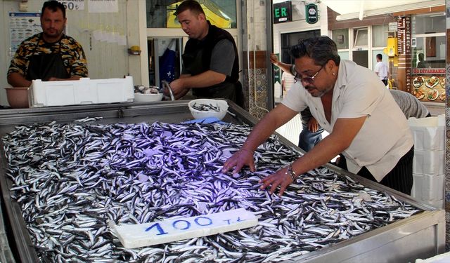 Hamsi Yine Balıkçıların Umudu: Kota Uygulaması Sonuç Veriyor