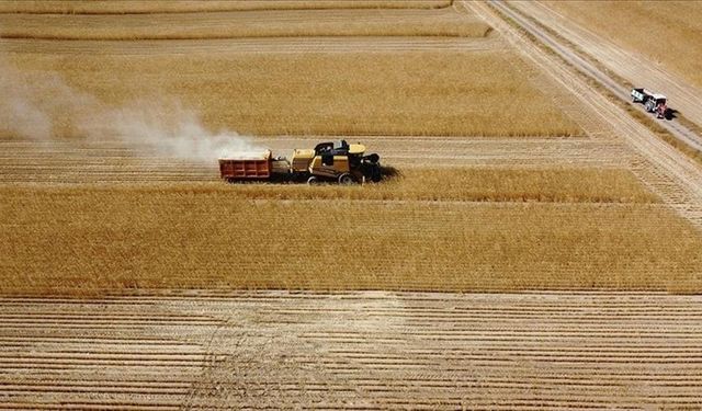 Tarım Bakanlığı’ndan Çiftçilere 47,6 Milyon TL Destek Ödemesi