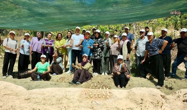 Adana’da kadınlara 23 bin 400 ak zambak soğanı dağıtıldı