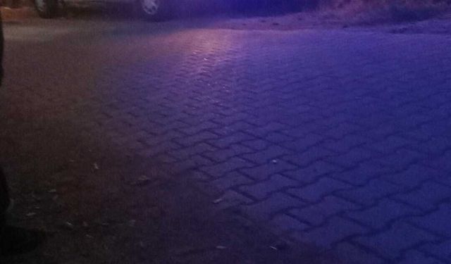 Muğla Köyceğiz’de dehşet: Genç, annesini av tüfeğiyle öldürdü