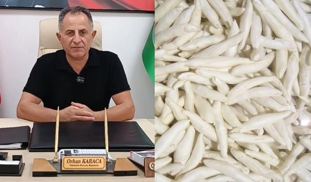 İlçenin ilk coğrafi işaretli ürünü olabilir