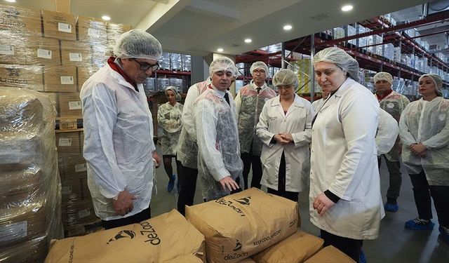 Gıda denetimlerinde 91 bin kontrol: 176 milyon lira ceza