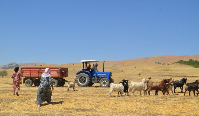 5 ay süren yayla yolculuğu sona erdi