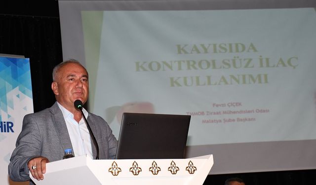 Zirai Don Malatya Kayısısını Vurdu: Destek Ödemeleri Başladı, Endişeler Sürüyor