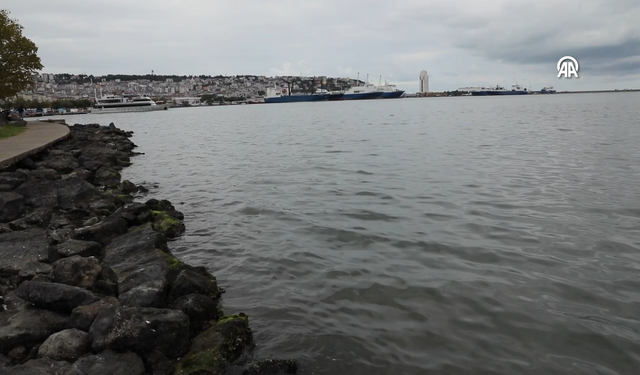 Karadeniz Biyoçeşitliliği İçin Ortak Proje: Halkın Farkındalığı Artırılacak