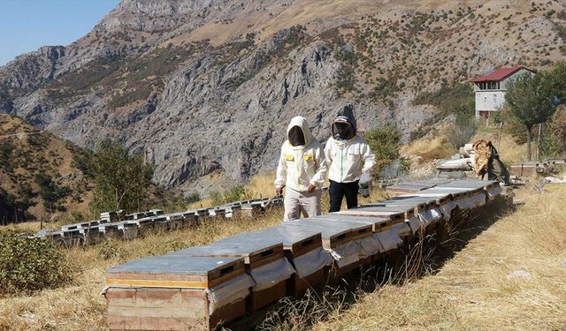 1993’te Boşaltılan Ziyaret Köyü, Arıcılıkla Yeniden Hayat Buldu