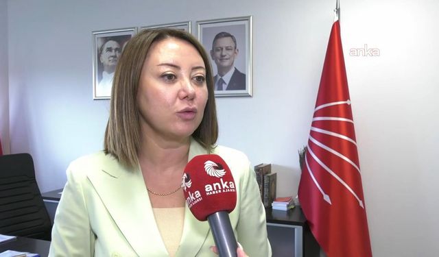 CHP’li Gül Çiftci Binici: “Yargı İktidarın Değil, Toplumun Vicdanıdır”