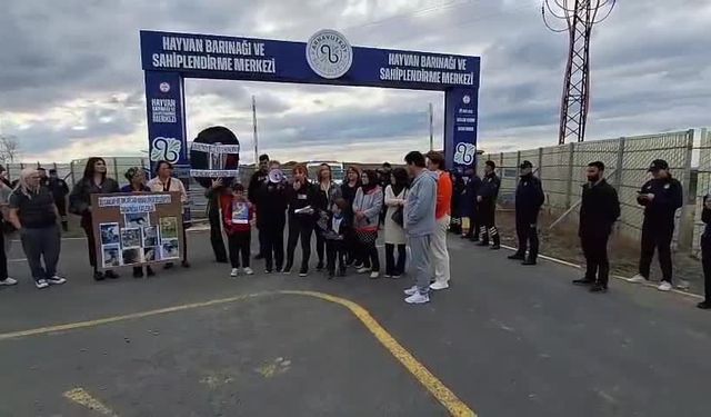 Hayvan Hakları Savunucularından Sert Tepki: “Doğal Yaşam Alanı Değil, Doğal Cehennem Alanları”