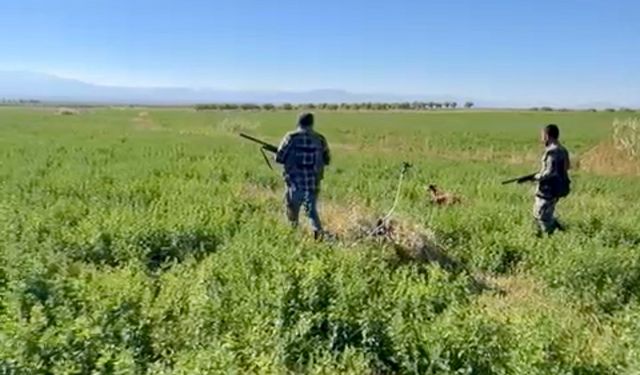 Malatya'da av sezonu sıkıntılı başlıyor: Avcılardan çağrı