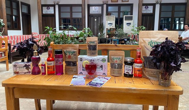 Arapgir’in mor reyhanı 25 farklı ürüne dönüştü