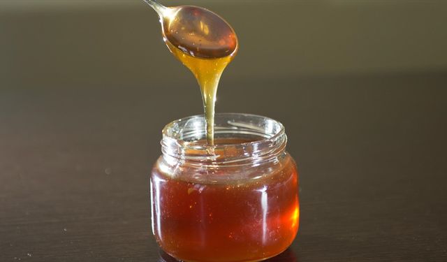 Doğu Karadeniz’den 10 Ayda 414 Ton Bal İhracatı Yapıldı