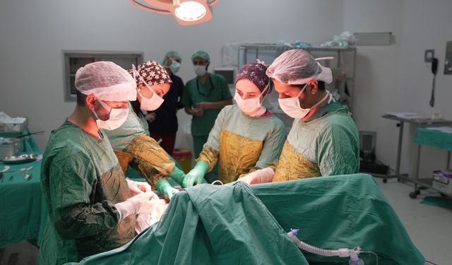 Malatya’da Tıp Başarısı: Yetmiş Yaşındaki Hastadan İki Kilo İki Yüz Gramlık Dev Tümör Çıkarıldı