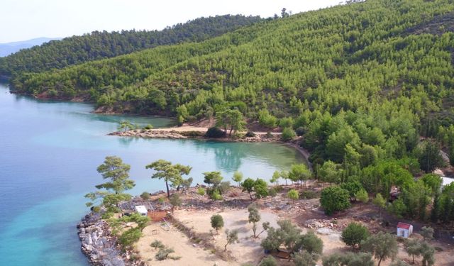 Akbük Sahili İçin Koruma Planı Başladı