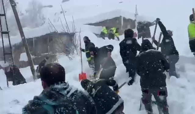 Van Çatak’ta Çığ Faciası: 61 Yaşındaki Gülnaz Bitik Hayatını Kaybetti