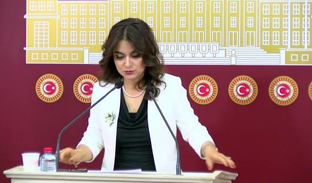 Koçyiğit: Ortak raporda sorunlu başlıklar aşılabilir