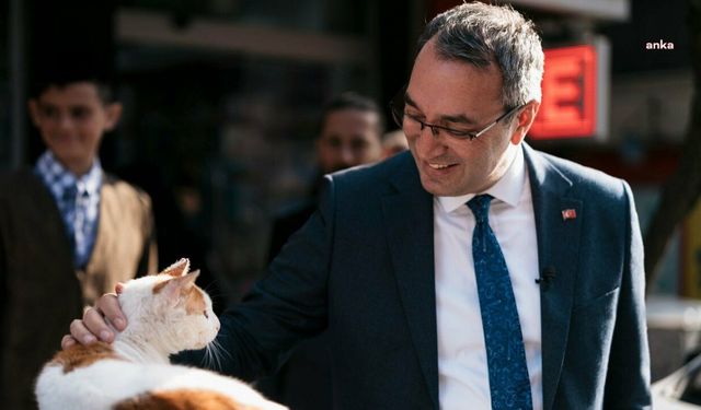 İBB’de Mahir Polat Hakkında Yeni Karar: Ev Hapsi Kaldırıldı