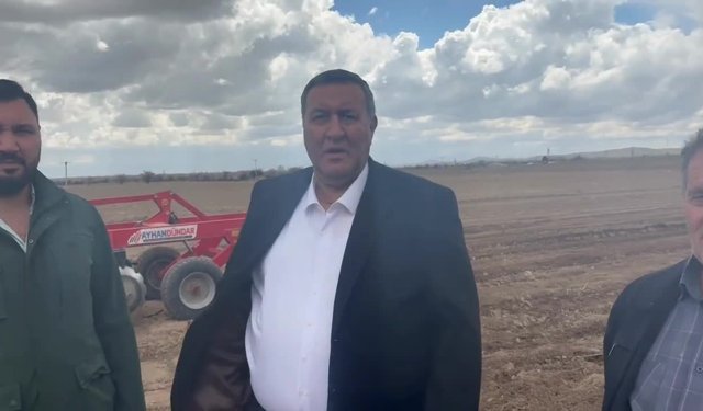 Çiftçiden Sert Uyarı: "Mazot Kadar Ekeceğim!" Domateste Büyük Tehlike: Tezgahta Fiyatlar Uçabilir!