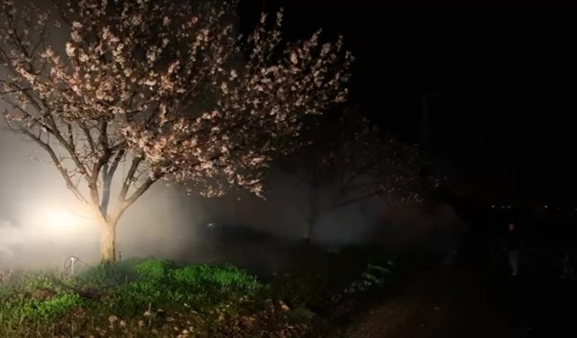 Malatya'da zirai don alarmı: Tarım il müdürlüğü ekipleri ve üreticiler don riskine karşı gece boyunca yoğun mesai yaptı