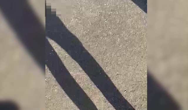 Malatya'da eski eşinin av tüfeğiyle vurduğu kadın hayatını kaybetti
