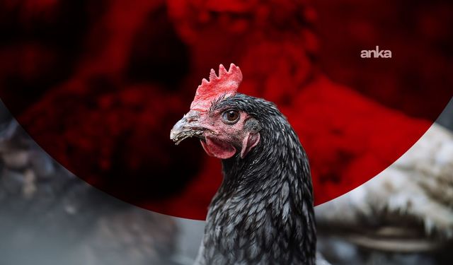 Beyaz Ette Yaz Fırsatçılarına Tokat Gibi Ceza: Bakanlık Düğmeye Bastı, Milyonlarca Lira Ceza Yağdı!