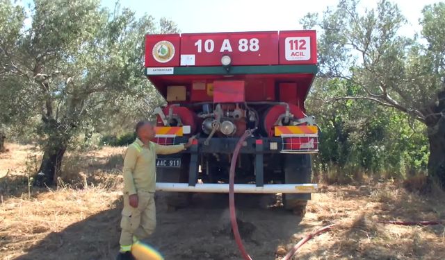 Burhaniye'de Korku Dolu Anlar! Otomobilden Sıçrayan Alevler Zeytinlikleri Kül Etti: Havadan ve Karadan Dev Müdahale!