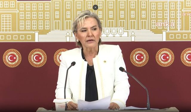 CHP'de Flaş İstifa Depremi: Nimet Özdemir "Gördüğüm Lüzum Üzerine" Diyerek Yolları Ayı