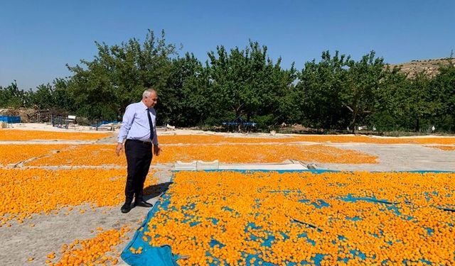 Malatya’da Tarımsal Üretime Sahada Destek: İl Müdürü Osman Akar’dan Darende Ziyareti