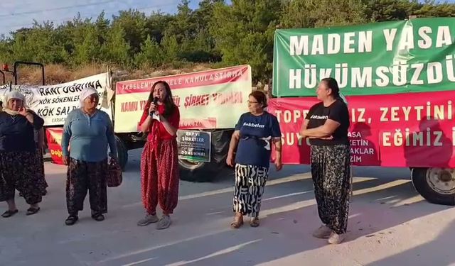 Akbelen Ormanı'nda 7554 Sayılı Yasaya Tepki: "Şirketlerin Yasasını Tanımıyoruz"