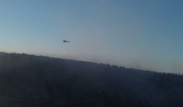 Bilecik’te Kabus Saatleri: Alevler Ormana Sıçradı, Ekipler Seferber Oldu!