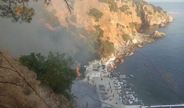 Büyükada'da Kabus Gecesi: Restoranda Başlayan Alevler Ormana Sıçradı, Ekipler Seferber Oldu!